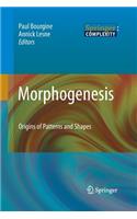 Morphogenesis: Origins of Patterns and Shapes