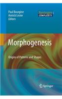 Morphogenesis