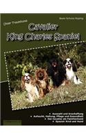 Unser Traumhund