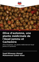 Olive d'automne, une plante médicinale de l'Azad Jammu et Cachemire