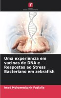 Uma experiência em vacinas de DNA e Respostas ao Stress Bacteriano em zebrafish