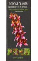 Forest Plants of the Nilgiris (North-Eastern Nilgiri Biosphere Reserve) - A Pictorial Field Guide