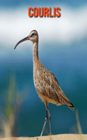Courlis: Recueil pour Enfants de Belles Images & d'Informations Intéressantes Concernant les Courlis