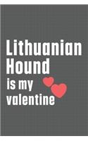 Lithuanian Hound is my valentine: For Little Lion Dog Fans