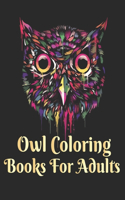 owl coloring books for adults