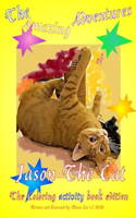Amazing Adventures of Jason The Cat