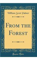From the Forest (Classic Reprint)