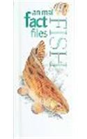Animal Fact Files Fish