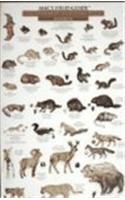 Mac's Field Guides: Yosemite Birds & Mammals