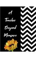 A Teacher Beyond Measure