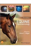 Equine Ophthalmology