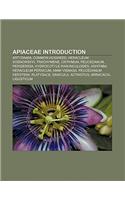 Apiaceae Introduction
