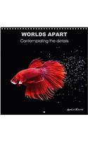 Worlds Apart Contemplating the Details 2018