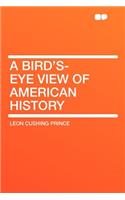 A Bird's-Eye View of American History