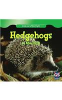 Hedgehogs in the Dark