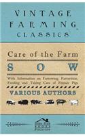 Care of the Farm Sow - With Information on Farrowing, Parturition, Feeding and Taking Care of Female Pigs