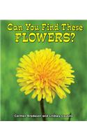 Can You Find These Flowers?