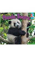All about Pandas