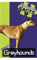 Fantastic Facts about Greyhounds