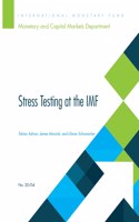 Stress testing at the IMF
