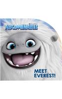 Meet Everest!