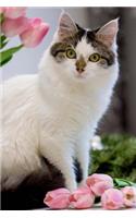 Darling Green Eyed Cat with Pink Tulips Pet Journal