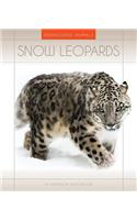 Snow Leopards