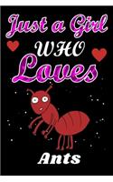 Just a Girl Who Loves Ants