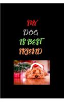 My Dog Is Best Friend