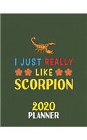 I Just Really Like Scorpion 2020 Planner: Weekly Monthly 2020 Planner For People Who Loves Scorpion 8.5x11 67 Pages