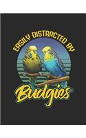 Easy Distracted by Budgies