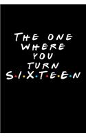 The One Where You Turn Sixteen