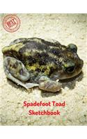 Spadefoot Toad Sketchbook: (Sketchbooks for Drawing)