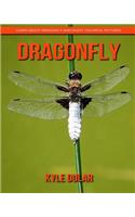 Dragonfly! Learn about Dragonfly and Enjoy Colorful Pictures