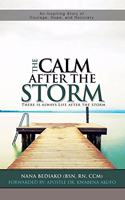 The Calm After The Storm: There is always life after the storm