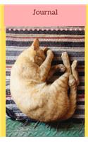 Journal