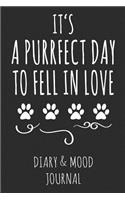 It's a Purrfect Day to Fell in Love