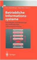 Betriebliche Informationssysteme