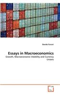 Essays in Macroeconomics