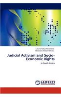 Judicial Activism and Socio-Economic Rights