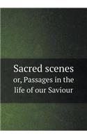 Sacred Scenes Or, Passages in the Life of Our Saviour