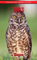 Owls: Fun Facts and Amazing Pictures