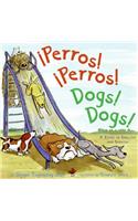 Perros! Perros!/Dogs! Dogs!