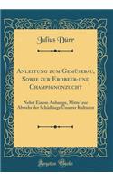 Anleitung zum Gemüsebau, Sowie zur Erdbeer-und Champignonzucht: Nebst Einem Anhange, Mittel zur Abwehr der Schädlinge Unserer Kulturen (Classic Reprint)