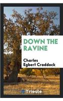 Down the Ravine
