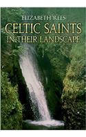 CELTIC SAINTS IN THEIR LANDSCAPE