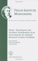 Shape, Smoothness and Invariant Stratification of an Attracting Set for Delayed Monotone Positive Feedback