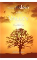 Voices Hidden in the Valley