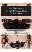 The Naturalist on the River Amazons