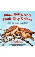 Buzz, Ruby, and Their City Chicks